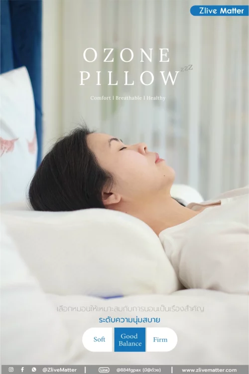 Adult Ozone Pillow XL-Picture