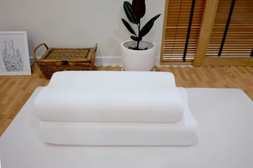 Teen-Ozone-Pillow-1