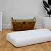 Teen-Ozone-Pillow-3