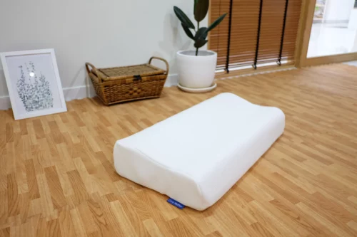 Teen-Ozone-Pillow-5