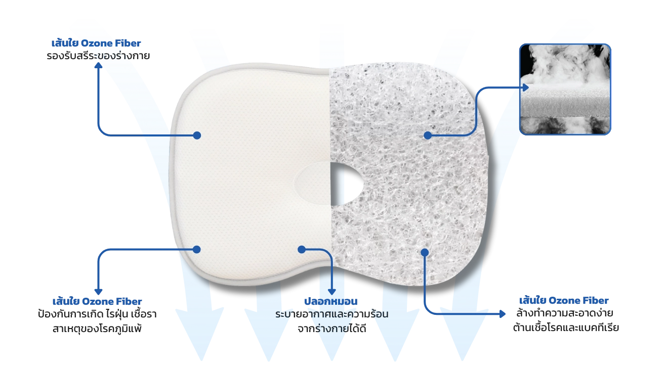 Baby Health Pillow Product