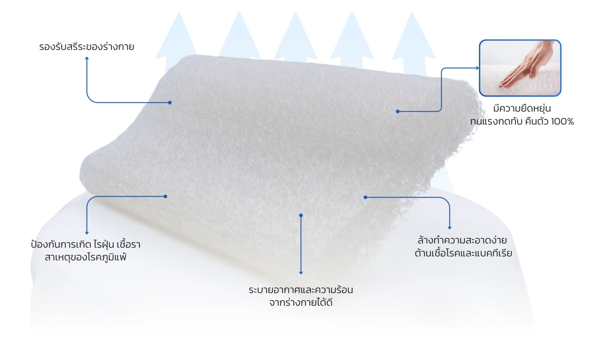 Zlive Matter Ozone Fiber ล้างทำความสะอาดเชื้อโรค และแบคทีเรียได้ 03