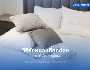 วิธีซักหมอนที่ถูกต้อง กำจัดไรฝุ่น ลดภูมิแพ้