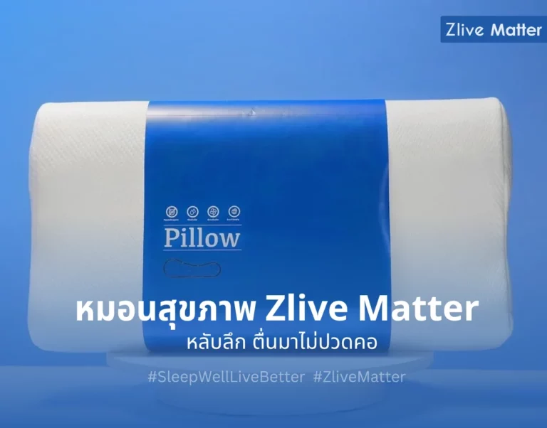 หมอนสุขภาพ Zlive Matter หลับลึก ตื่นมาไม่ปวดคอ